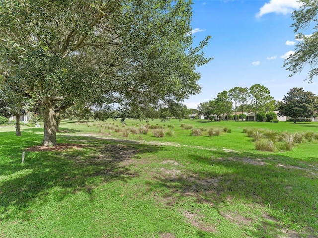 487 Thistledown Way, The Villages, FL 32162 - view of grassy yard