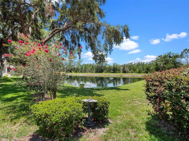 4814 Saint Andrews Arc, Leesburg, FL 34748 - view of grassy yard featuring a water view