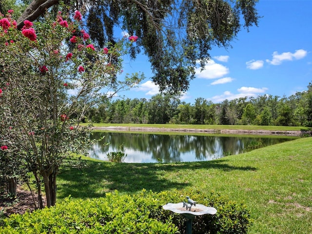4814 Saint Andrews Arc, Leesburg, FL 34748 - water view featuring a forest