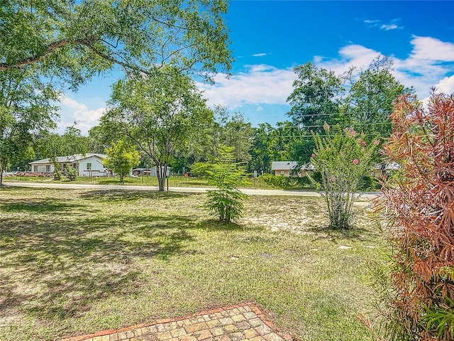 45 Forest Ln, Bronson, FL 32621 - view of green lawn