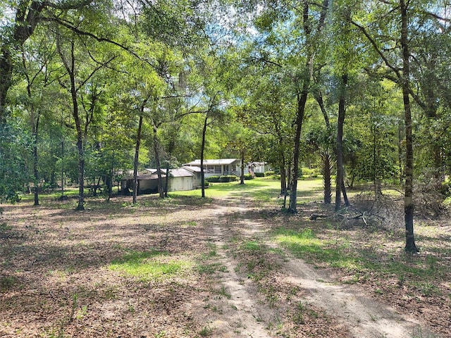 144 Cemetery Rd, Fort Mc Coy, FL 32134 - photo 2