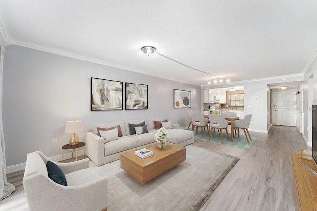 101 N Grandview St Unit 205, Mount Dora, FL 32757 - living room featuring ornamental molding, light wood finished floors, and a textured ceiling