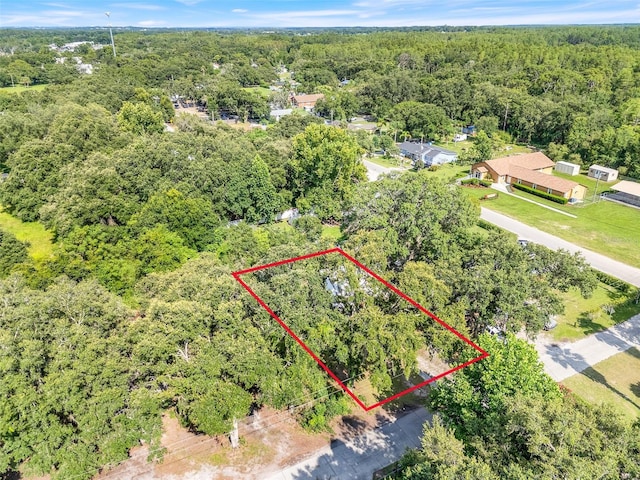 323 Savage Way, Groveland, FL 34736 - aerial view of property's location featuring a heavily wooded area and property boundaries highlighted