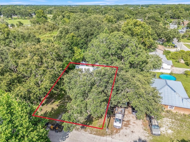 323 Savage Way, Groveland, FL 34736 - aerial view of property's location featuring property boundaries highlighted