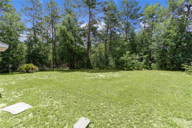 5460 SW 103rd Street Rd, Ocala, FL 34476 - photo 23