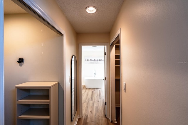 681 Greywood Dr, Altamonte Springs, FL 32701 - corridor featuring wood finished floors and a textured ceiling