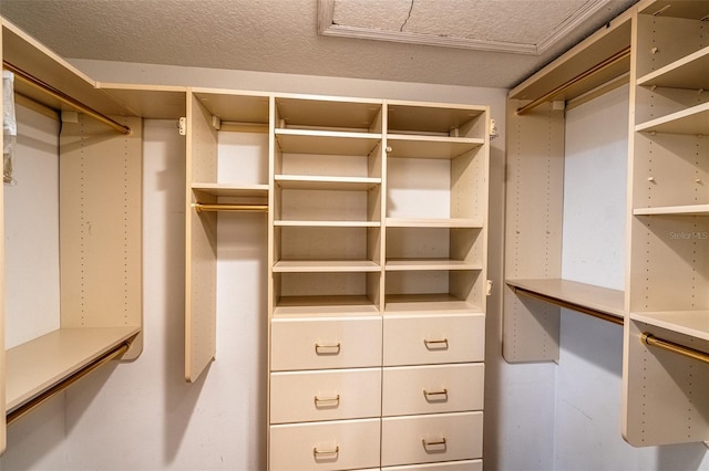 681 Greywood Dr, Altamonte Springs, FL 32701 - view of spacious closet
