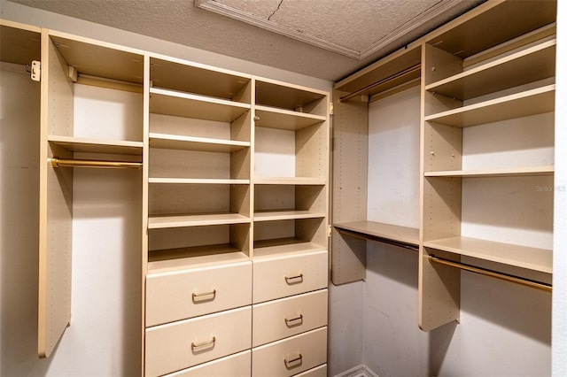 681 Greywood Dr, Altamonte Springs, FL 32701 - view of walk in closet