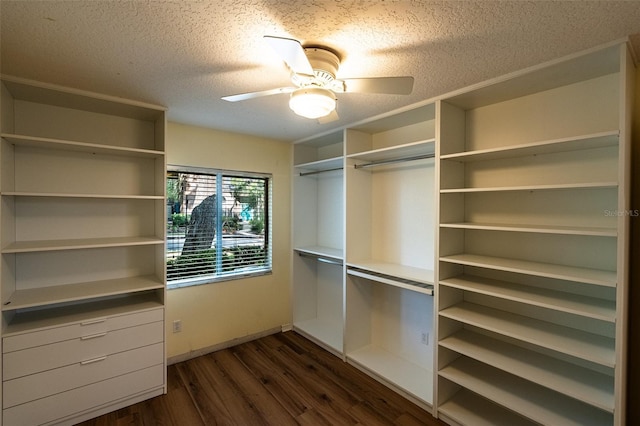 681 Greywood Dr, Altamonte Springs, FL 32701 - spacious closet featuring dark wood-style flooring and a ceiling fan