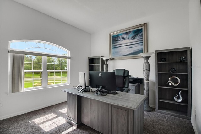 9702 Pepper Tree Pl, Wildwood, FL 34785 - photo 37