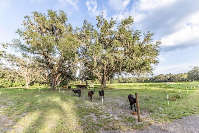 12523 Crk 721, Webster, FL 33597