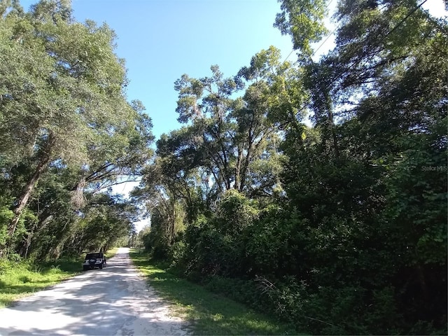 7092 Elaine Dr, Webster, FL 33597 - photo 1