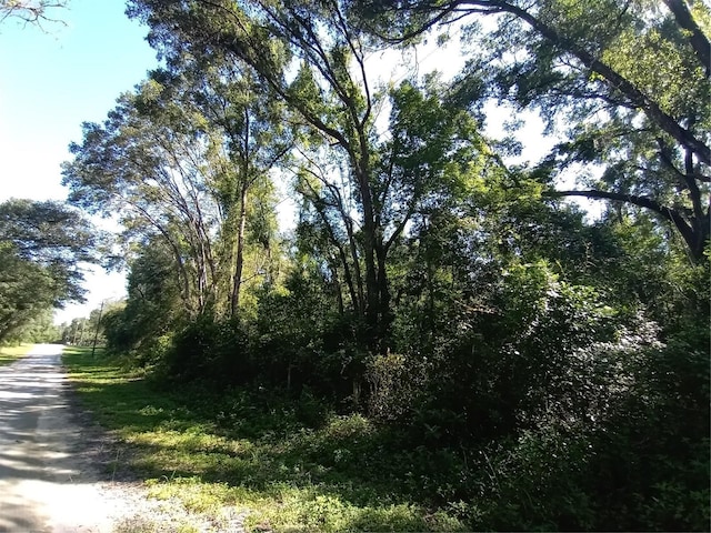 7092 Elaine Dr, Webster, FL 33597 - photo 2