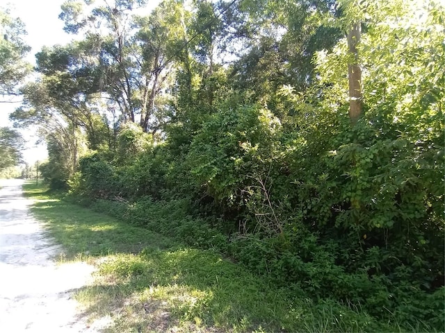 7092 Elaine Dr, Webster, FL 33597 - photo 6
