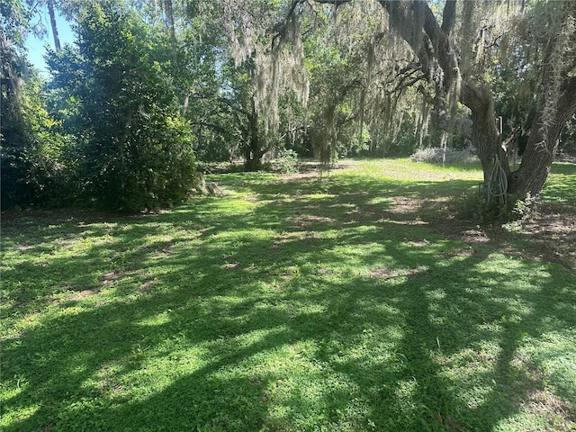 11651 Fairmont Ave, Leesburg, FL 34788 - photo 8