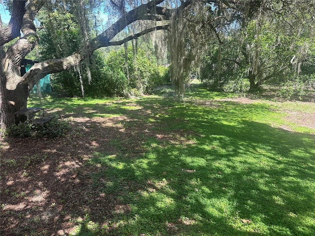 11651 Fairmont Ave, Leesburg, FL 34788 - photo 9