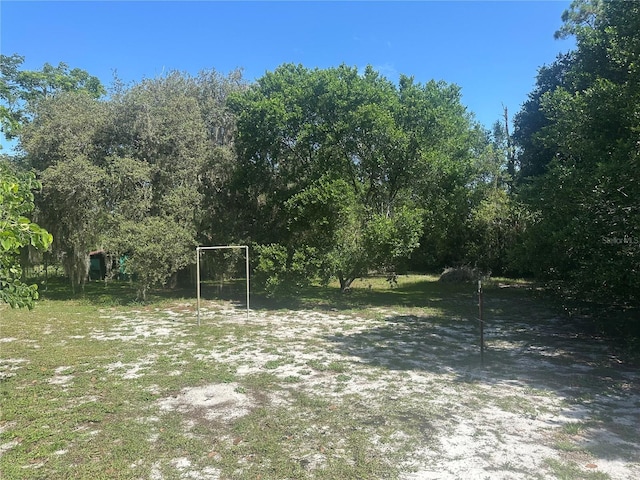 11651 Fairmont Ave, Leesburg, FL 34788 - photo 10