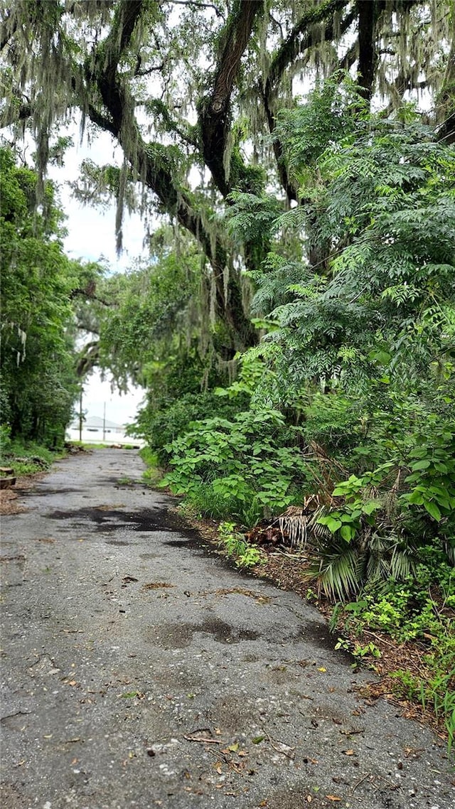 12267 N US Highway 301, Oxford, FL 34484 - photo 6
