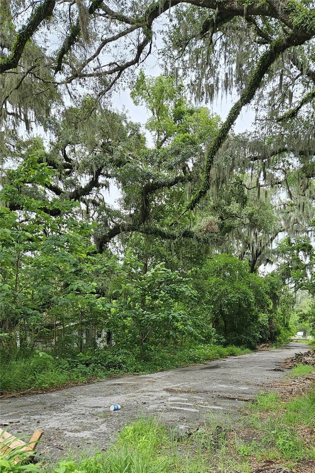 12267 N US Highway 301, Oxford, FL 34484 - photo 7