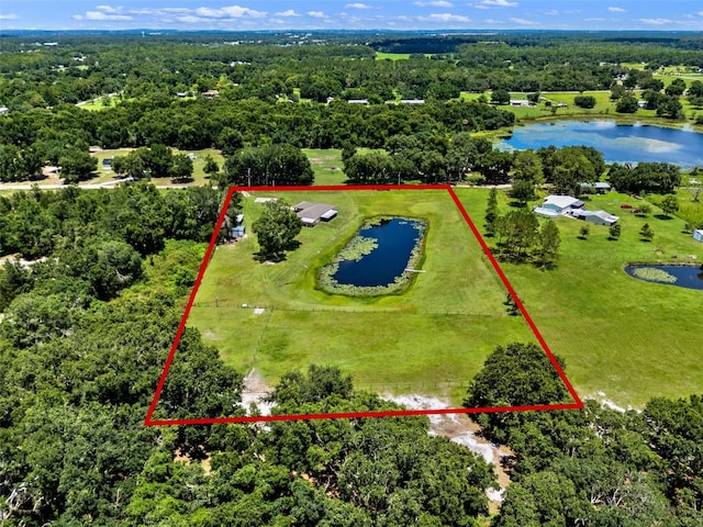 14325 Manchester Ave, Groveland, FL 34736 - aerial view of property and surrounding area featuring a nearby body of water and property boundaries highlighted