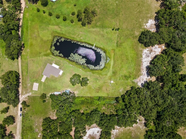 14325 Manchester Ave, Groveland, FL 34736 - view of property location featuring a large body of water