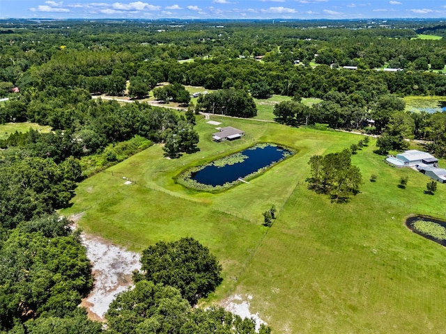 14325 Manchester Ave, Groveland, FL 34736 - aerial view of a nearby body of water and a forest