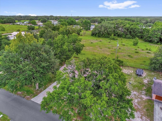 302 W Rose Ln, Lady Lake, FL 32159 - view of property location