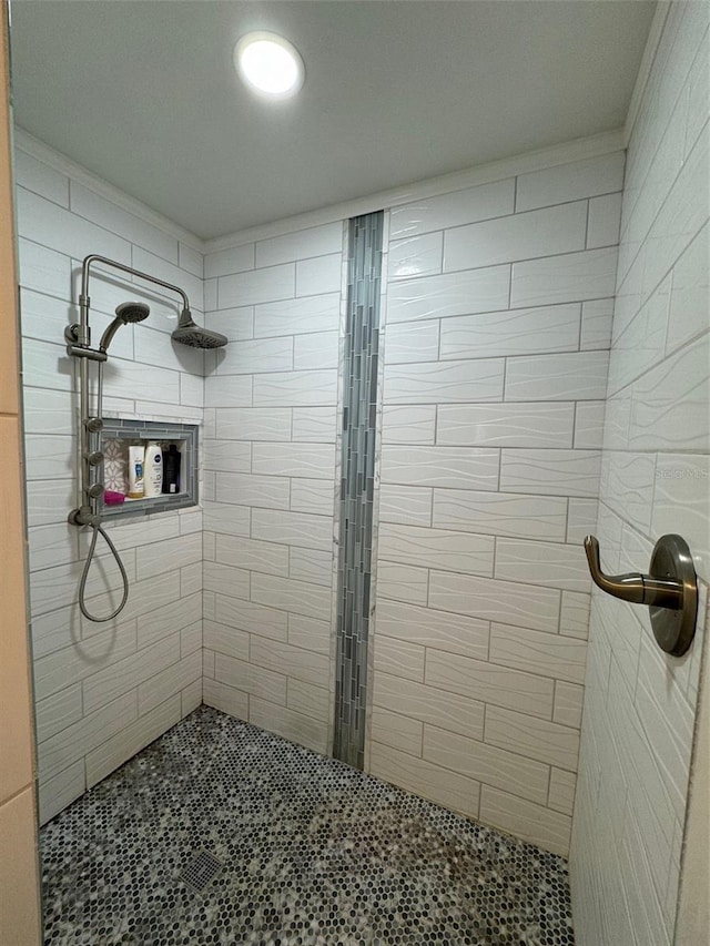 219 Magnolia Cir, Eustis, FL 32726 - bathroom with tiled shower