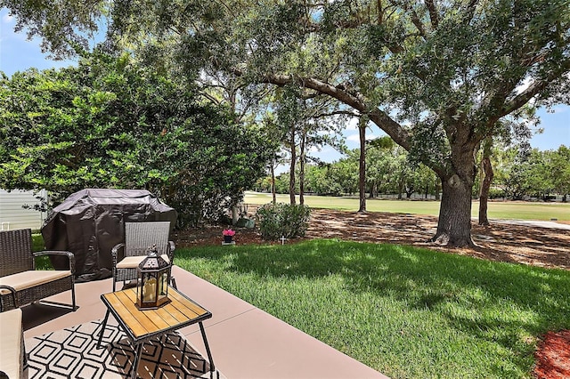 1309 Corona Ave, The Villages, FL 32159 - view of grassy yard with a patio and view of wooded area