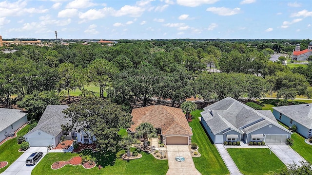 1309 Corona Ave, The Villages, FL 32159 - aerial view of residential area