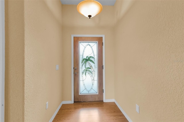 12407 NE 48th Loop, Oxford, FL 34484 - foyer with wood finished floors and a textured wall