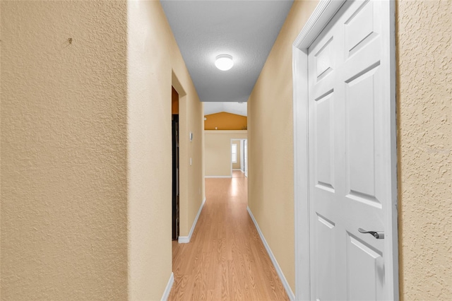 12407 NE 48th Loop, Oxford, FL 34484 - hall with light wood finished floors and a textured wall