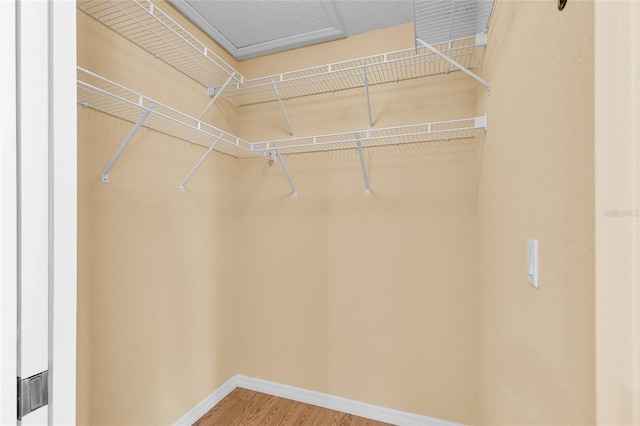12407 NE 48th Loop, Oxford, FL 34484 - walk in closet featuring wood finished floors