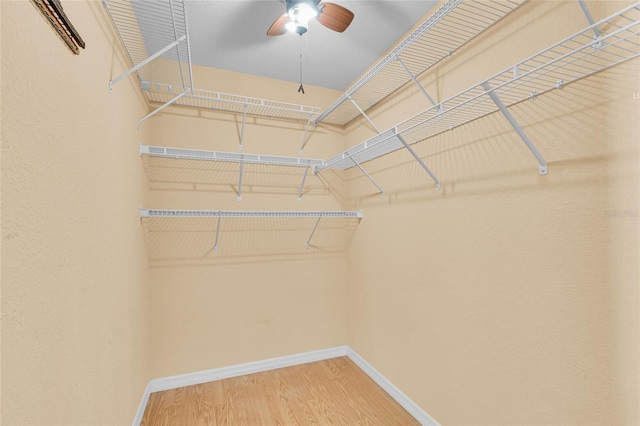 12407 NE 48th Loop, Oxford, FL 34484 - walk in closet with wood finished floors and ceiling fan