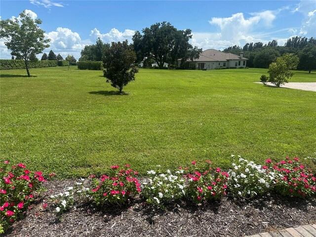 10301 Savannah Ridge Ln, Winter Garden, FL 34787 - photo 38