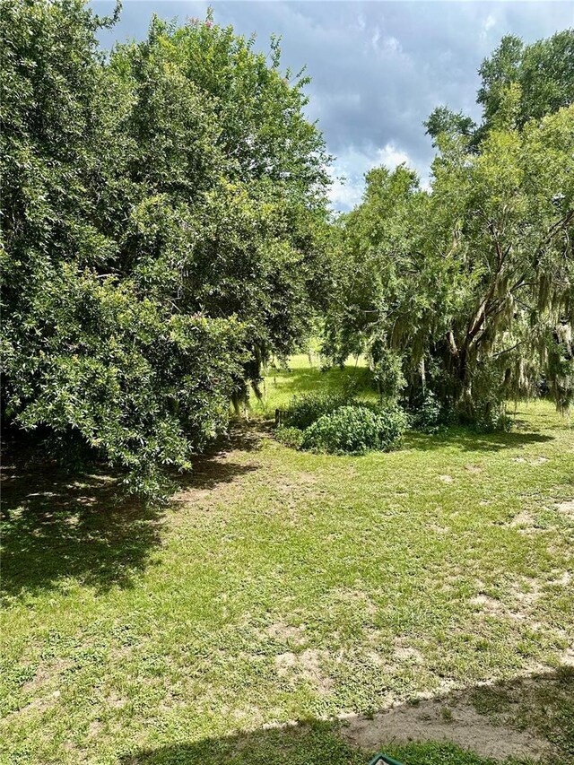 1096 Linkside Ct, Apopka, FL 32712 - view of green lawn