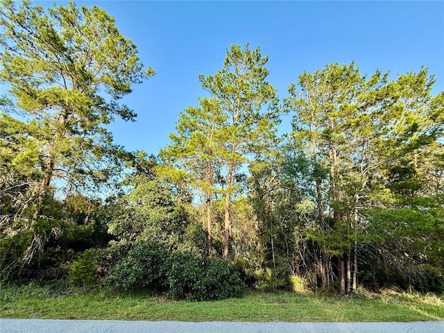 LOT6 Aspen St, Eustis, FL 32736 - photo 6
