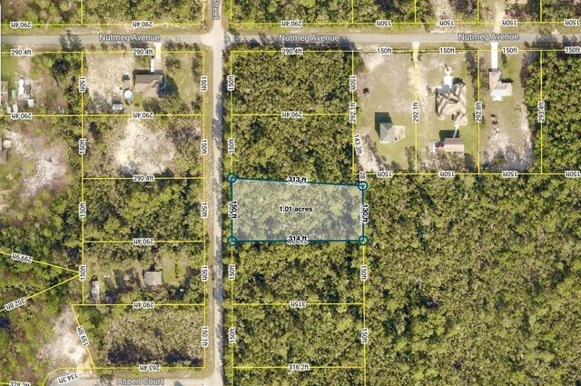 LOT6 Aspen St, Eustis, FL 32736 - photo 9