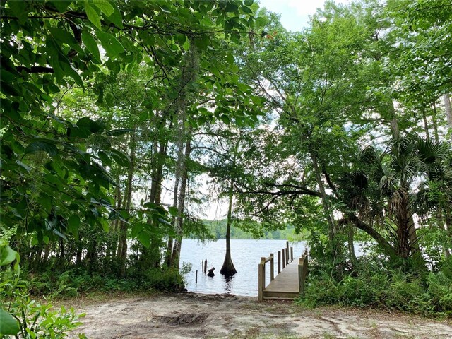 LOT6 Aspen St, Eustis, FL 32736 - photo 18
