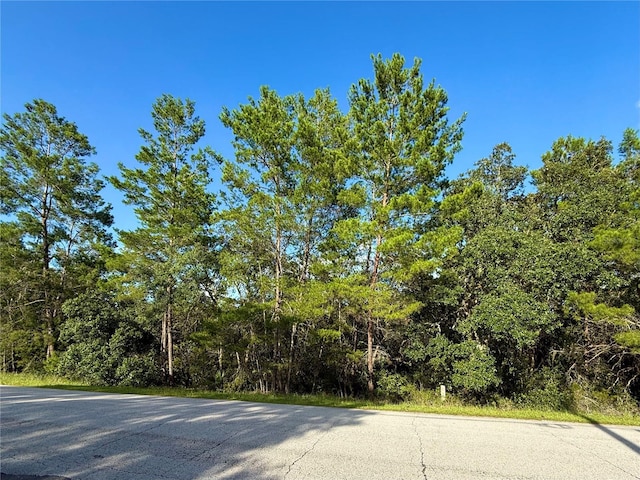 LOT6 Aspen St, Eustis, FL 32736 - photo 4
