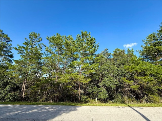 LOT6 Aspen St, Eustis, FL 32736 - photo 1
