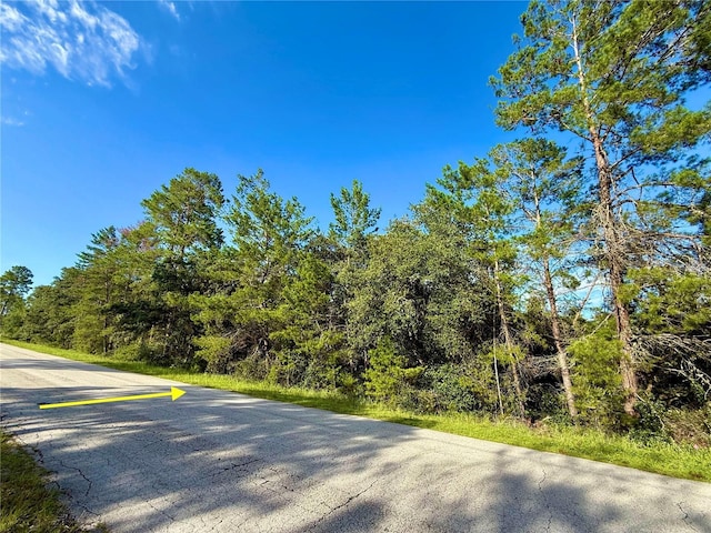 LOT6 Aspen St, Eustis, FL 32736 - photo 8