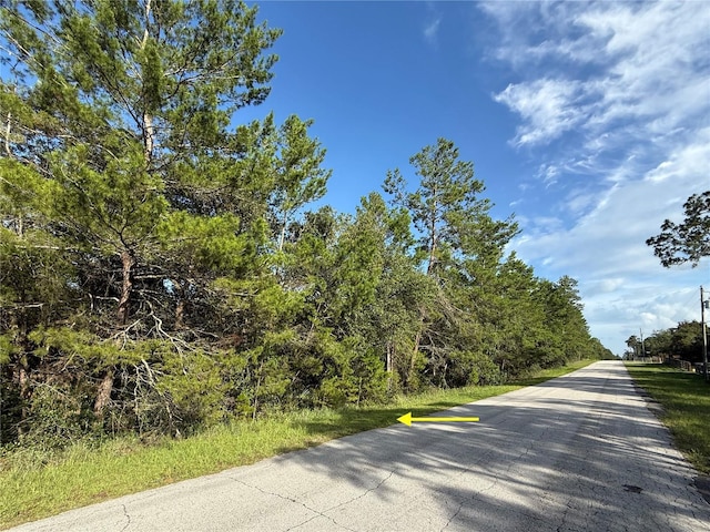 LOT6 Aspen St, Eustis, FL 32736 - photo 5
