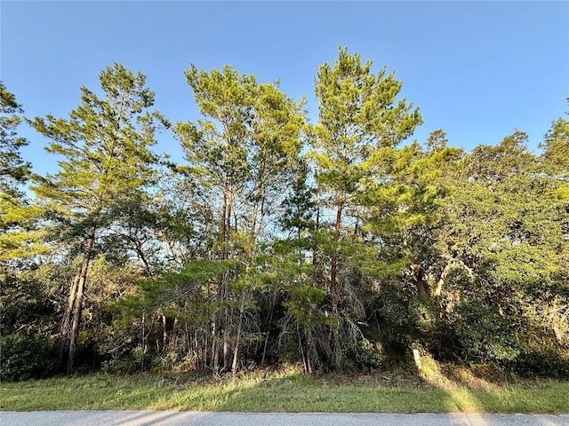 LOT6 Aspen St, Eustis, FL 32736 - photo 7