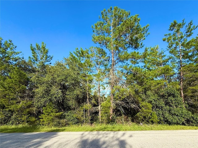 LOT6 Aspen St, Eustis, FL 32736 - photo 2