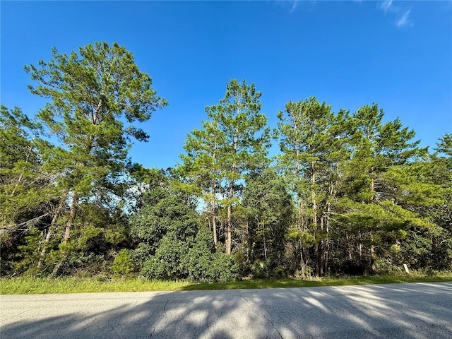 LOT6 Aspen St, Eustis, FL 32736 - photo 3