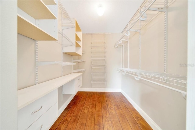 10331 SW 45th Ave, Ocala, FL 34476 - walk in closet with wood-type flooring