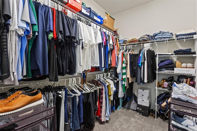 3467 Buoy Cir, Winter Garden, FL 34787 - spacious closet with carpet floors