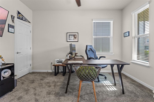 3467 Buoy Cir, Winter Garden, FL 34787 - carpeted office featuring healthy amount of natural light and a ceiling fan