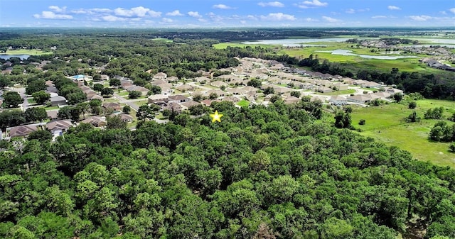1702 Hoofprint Ct, Fruitland Park, FL 34731 - aerial view of residential area with a nearby body of water